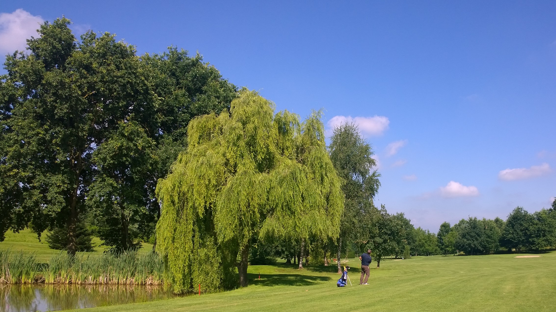 GOLF CLUB I GIRASOLI