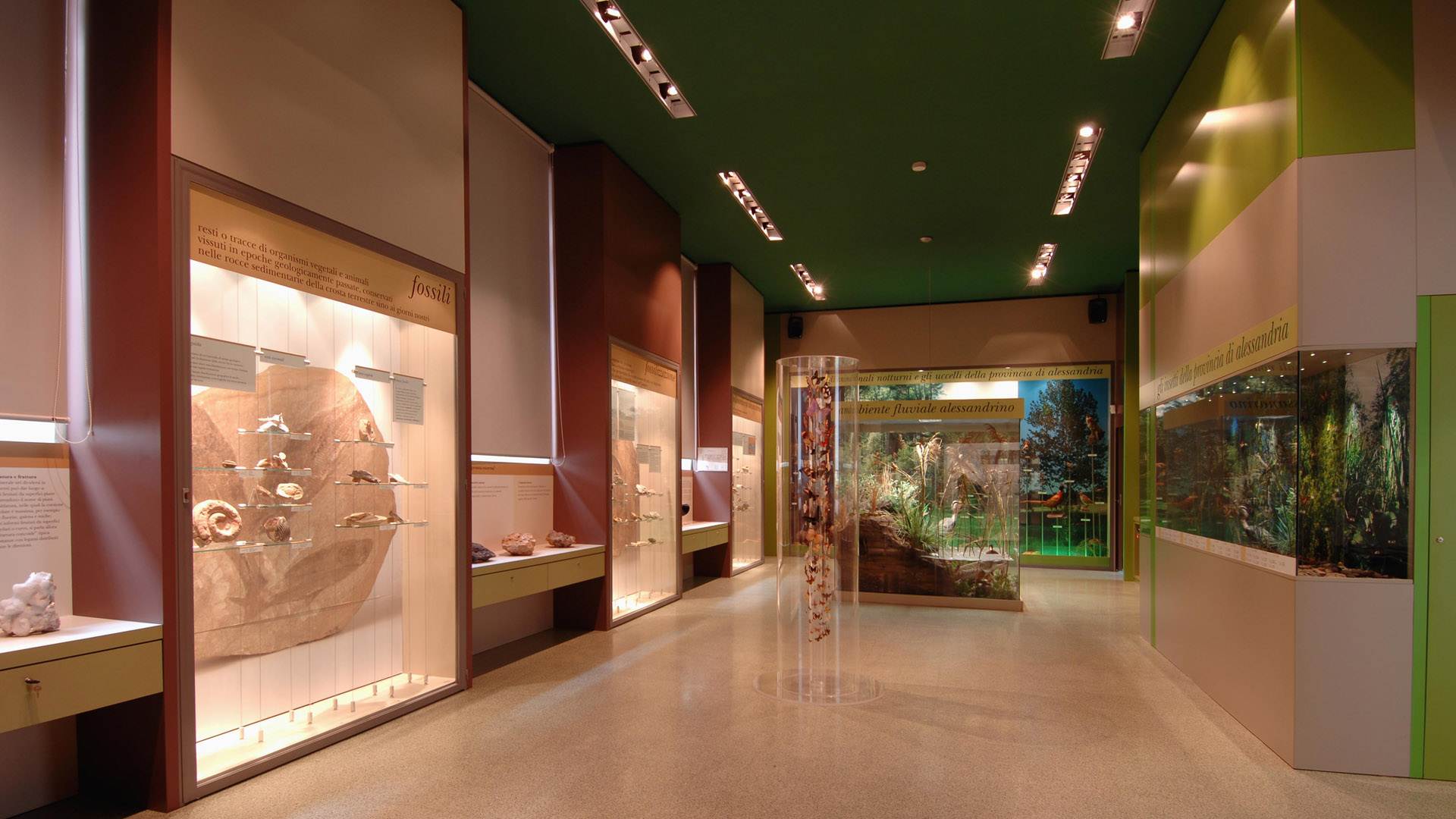 TEATRO DELLE SCIENZE MUSEO DI SCIENZE NATURALI E LABORATORIO DI 