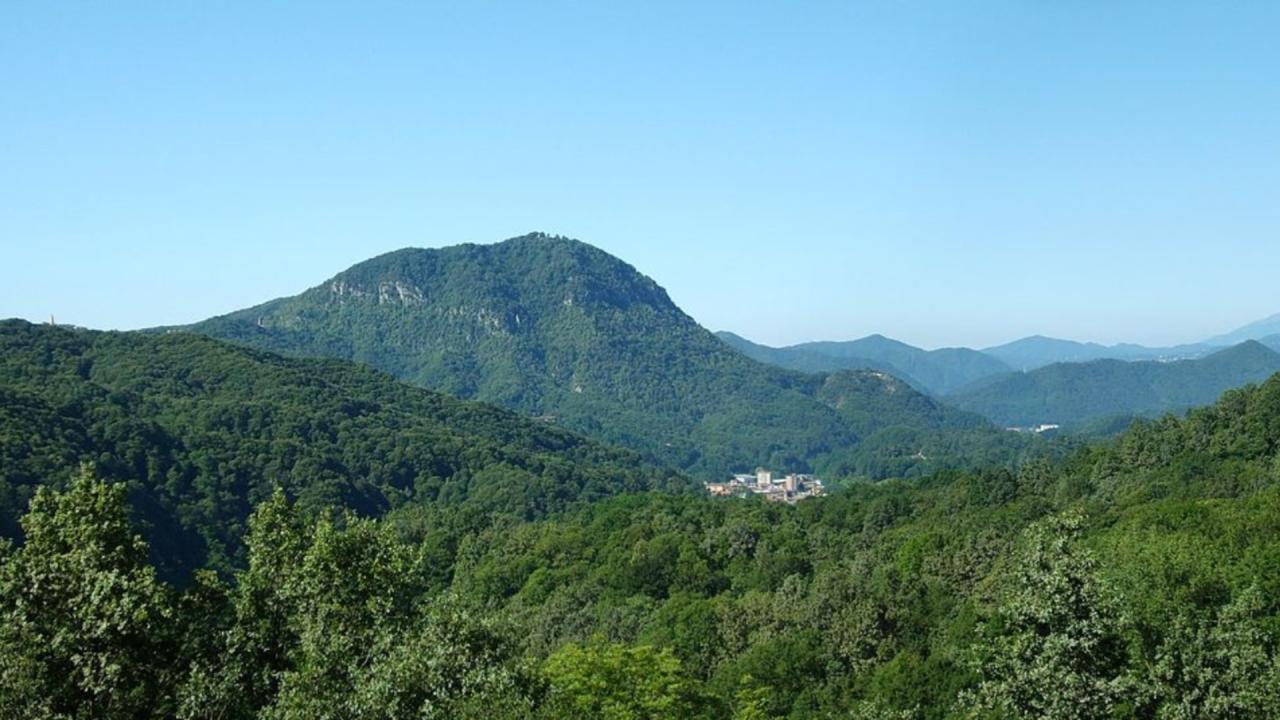 MONTE FENERA - PARCO NATURALE (foto di Alberto Orlandini, particolare) MONTE FENERA - PARCO NATURALE (foto di Alberto Orlandini, particolare)