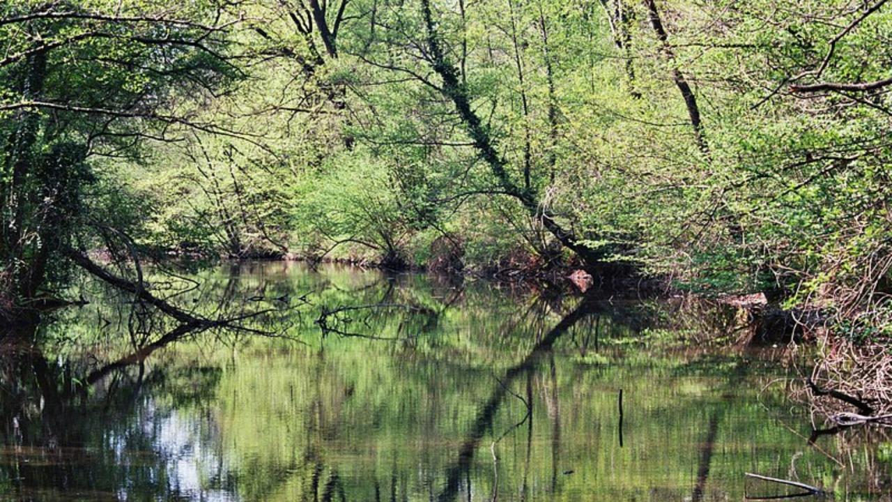 PARCO NATURALE DELLE LAME DEL SESIA (foto di Riccardo Ronchetti)