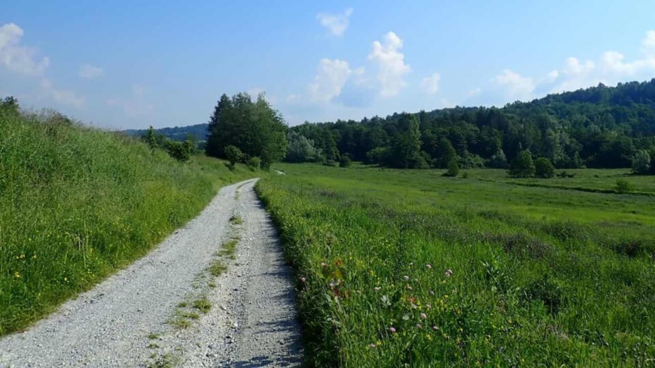 Foto da www.sorgentidelbelbo.areeprotettealpimarittime.it