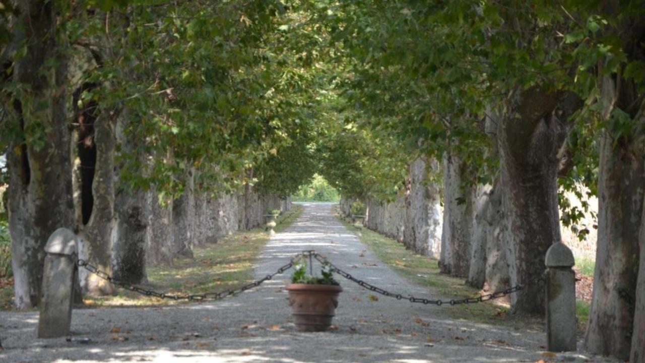 Giardino di Villa Sciolla “Il Castelletto” 