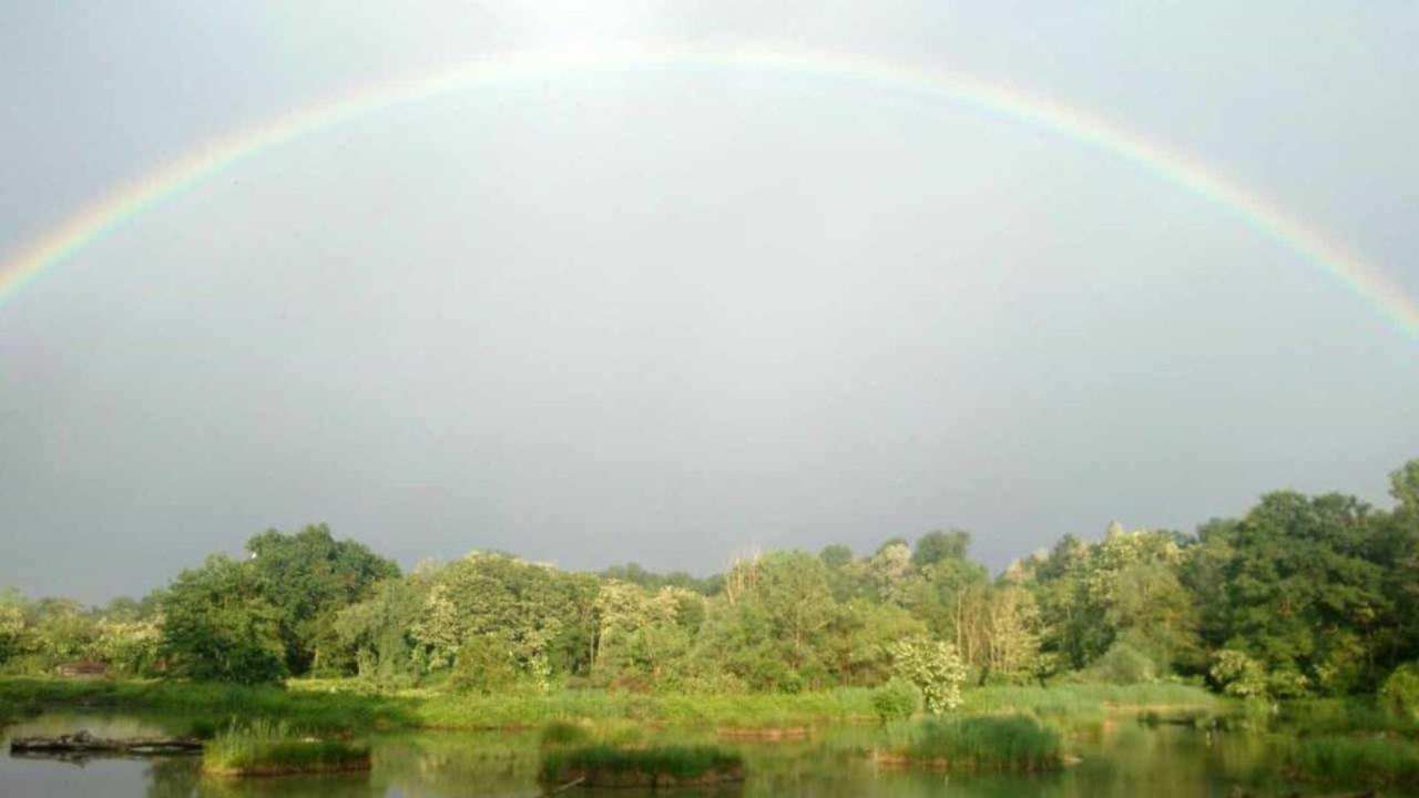 Arcobaleno sul laghetto (da foresteriadelloasi.it) Arcobaleno sul laghetto (da foresteriadelloasi.it)