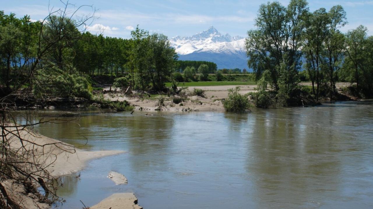 CONFLUENZA DEL PELLICE - RISERVA NATURALE (da www.parcomonviso.eu) CONFLUENZA DEL PELLICE - RISERVA NATURALE (da www.parcomonviso.eu)