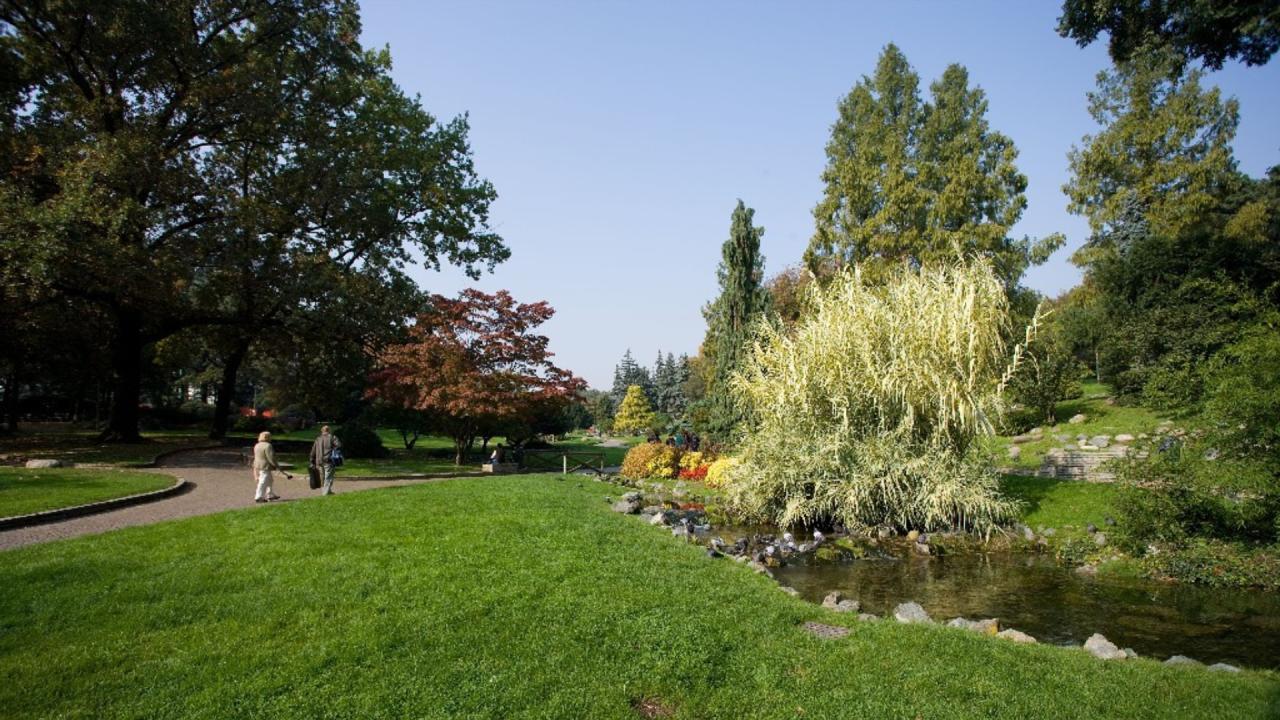 Giardino roccioso nel parco del Valentino. Fotografia di Roberto Goffi, 2010. © MuseoTorino (particolare)