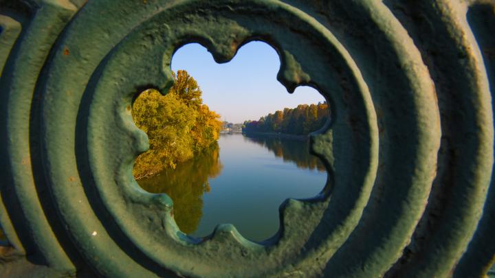 Una particolare vista del Parco del Valentino