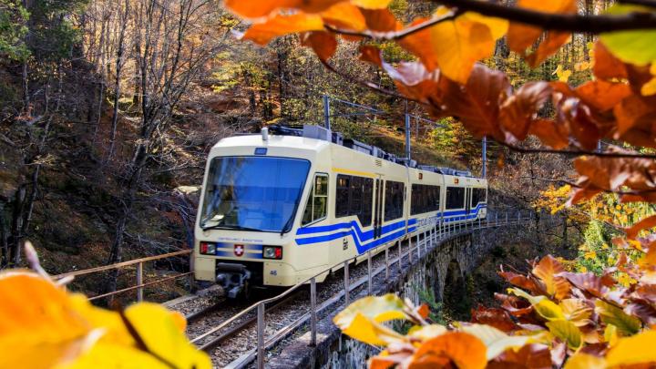 Domodossola, Treno del foliage