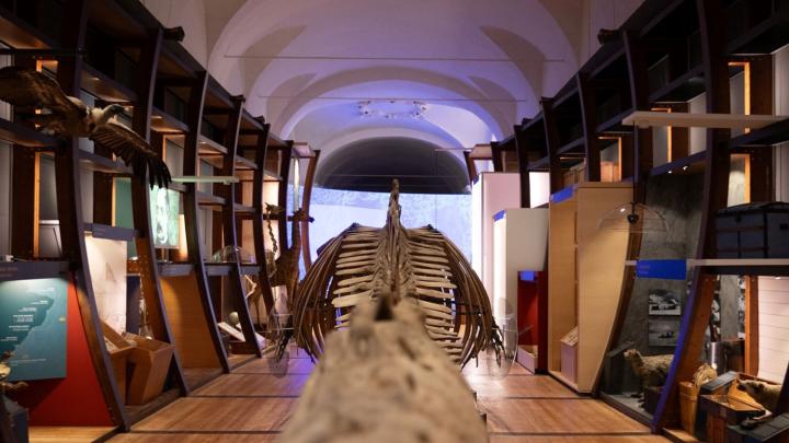 07_03_2026 - Visita guidata - MRSN