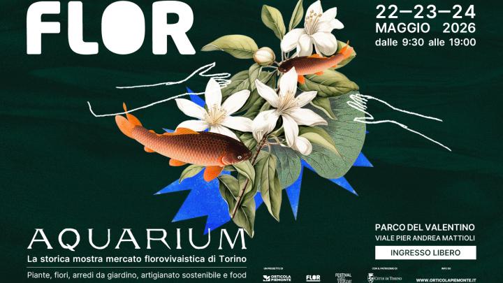 Flor Primavera 2026