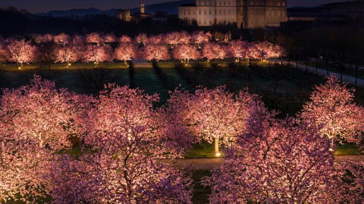 Reggia by Night02 (1)