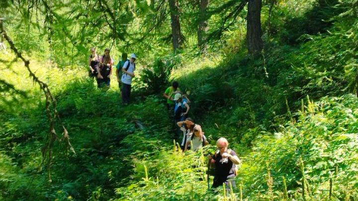I Giovedi Dell'avventura