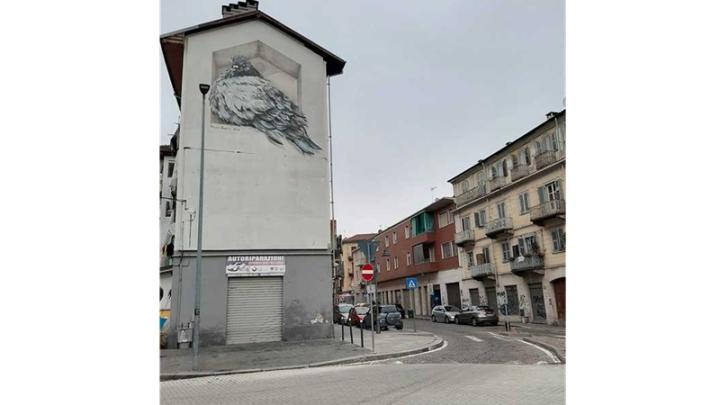 Borgata Tesso Piccione
