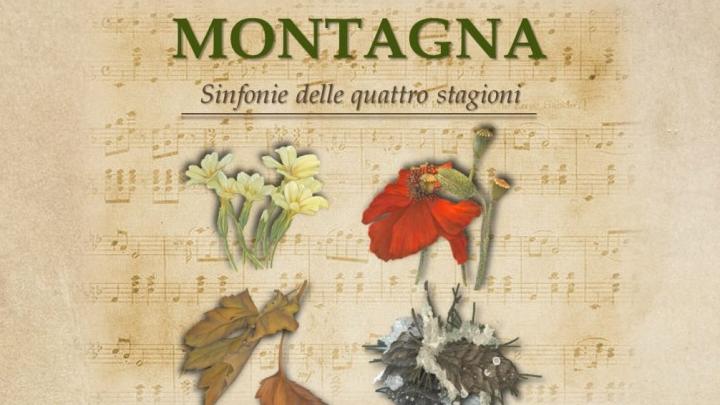 Zanardo Mostra