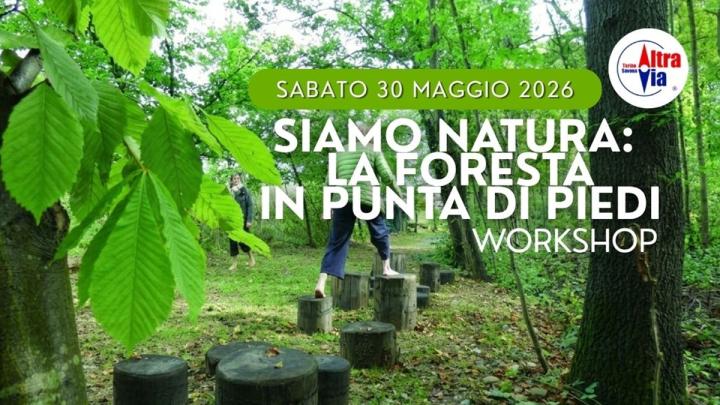 Workshop Banner