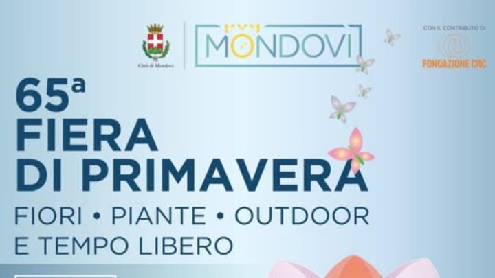 Scritte, loghi, stemma civico e decorazioni floreali sullo sfondo