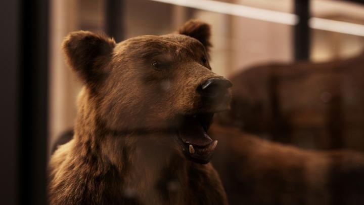 12 04 2026 Visita Guidata Mrsn