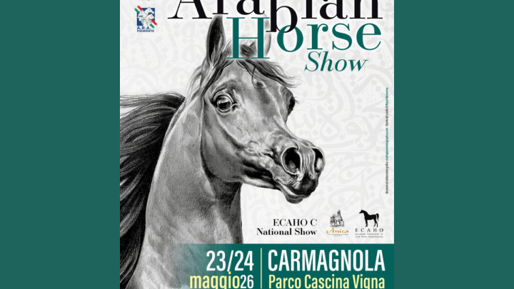 Parco Vigna Arabian Horse Show
