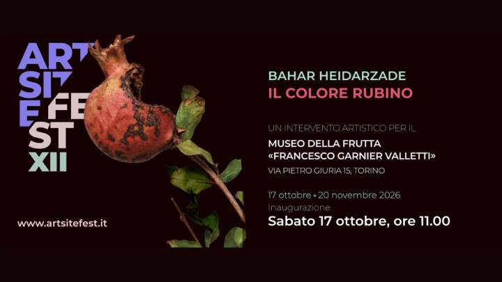 Bahar Heidarzade. Il Colore Rubino