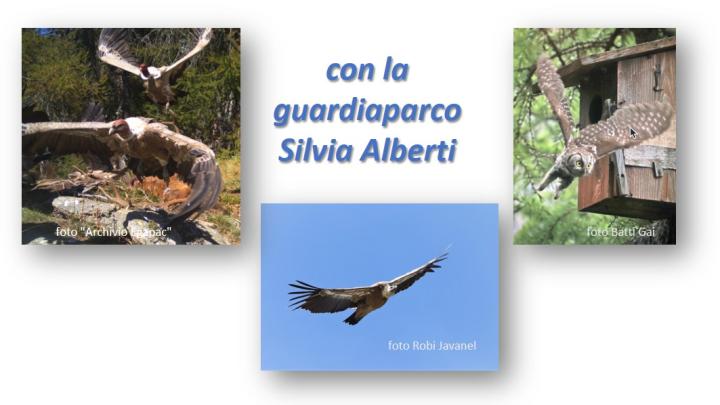 Rapaci E Avvoltoi (1)