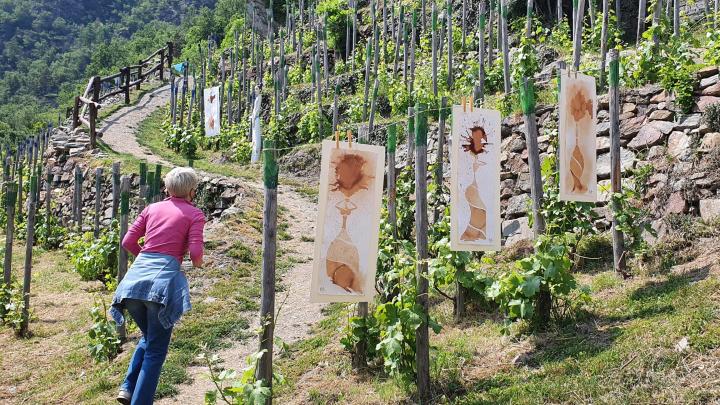 Vigneti terrazzati del ramie, Pomaretto - mostra di Purpleryta