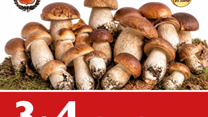 ADV150x240_2 (002)
