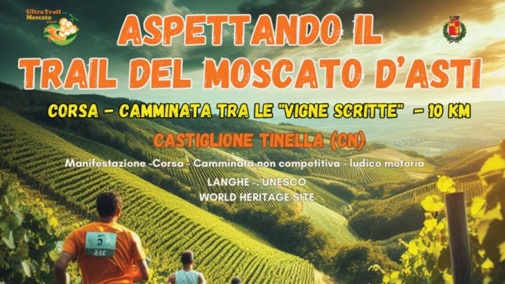 Foto di podisti in corsa su sentiero tra vigne collinari al tramonto, legende