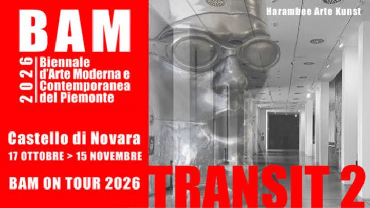 gratica con titolo e info, foto digitale in bianco e nero con scultura di volto umano e architettura 