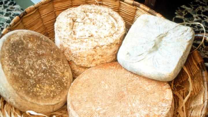 Forme di fomaggio Raschera in una cesta di vimini
