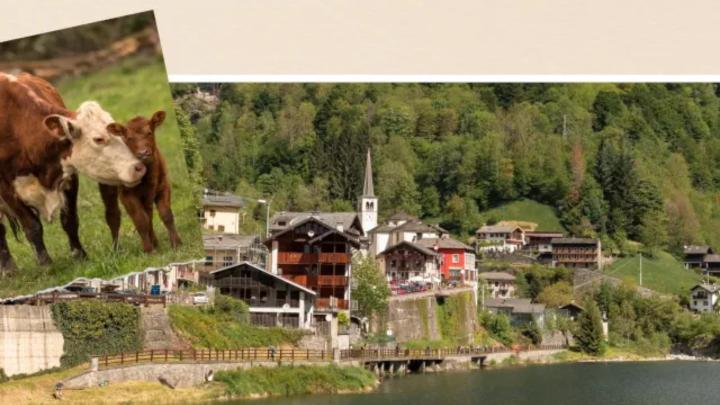 Particolare della locandina dell'evento Fotografie di borgata alpina e di un bovino