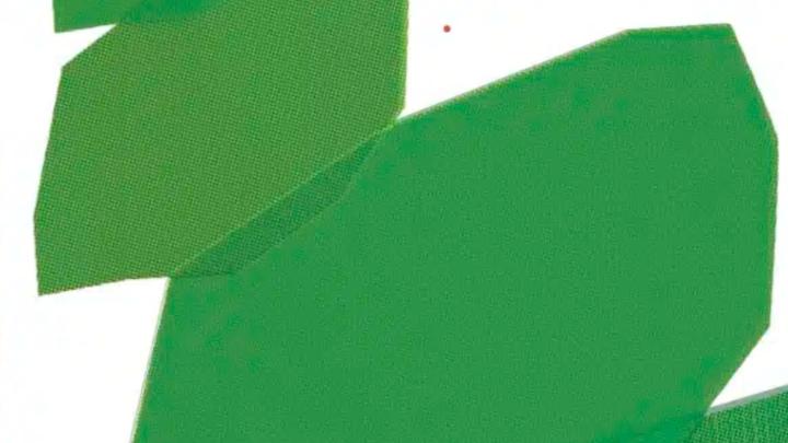 Particolare della locandina per l'inaugurazione della mostra Figure astratte verdi su fondo bianco che evocano foglie