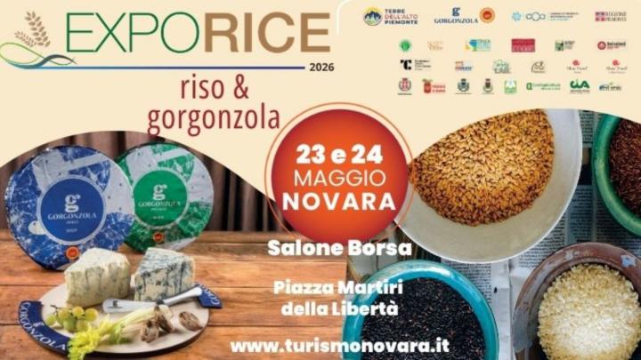 Grafica con fotografie di piatti di riso e gorgonzola, scritte, stemmi e loghi
