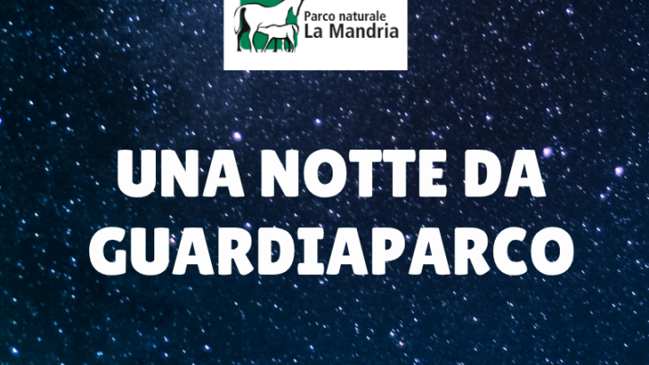 Notte da Gp