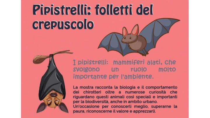 'Pipistrelli: folletti del crepuscolo' in mostra a Castagneto Po
