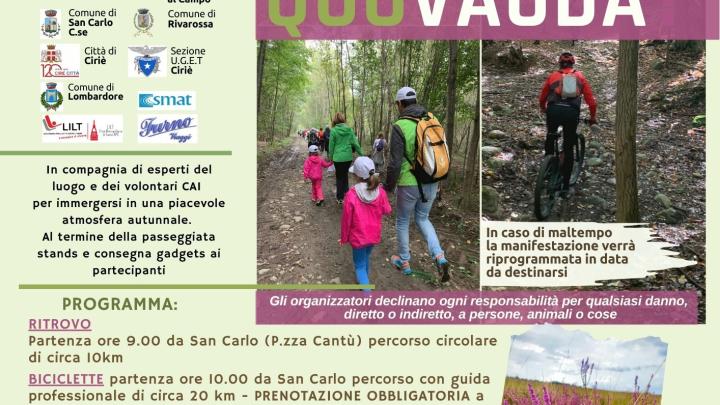 QuoVauda 26