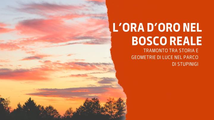 STUPINIGI TRAMONTO