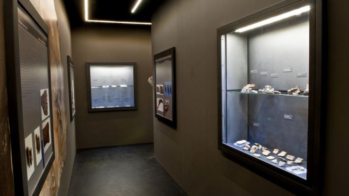 Spazio Espositivo(4)