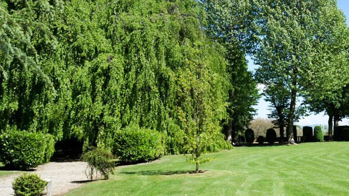VILLA LASCARIS VEDUTA PARCO (2)
