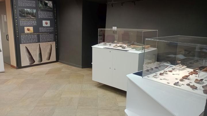 Vetrine con reperti1