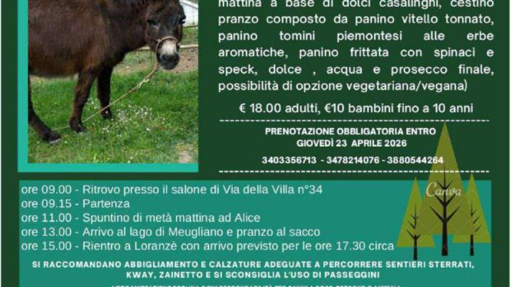 WhatsApp Image 2026-04-10 at 11.09.57