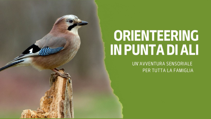 Orienteering in Punta Di Ali