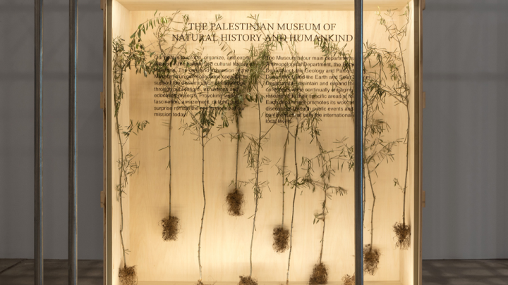 37 Khalil Rabah, Photo by Renato Ghiazza