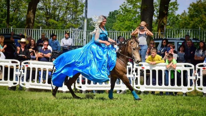 Img 20250408 W A0016