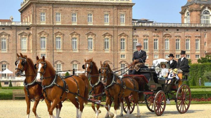 concorso_attacchi_430
