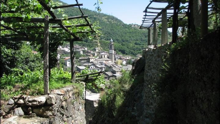 Carema Festa Uva Vigneti