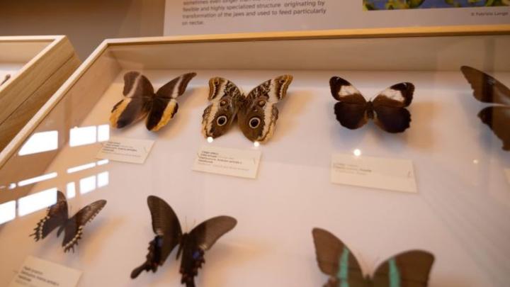 06 04 2026 Visita Guidata Mrsn