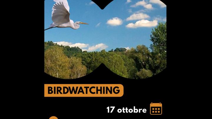 Birdwatching 2026 Post