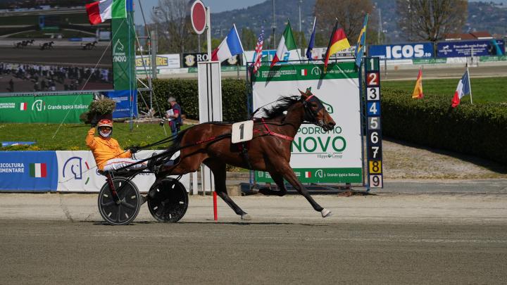 driver e cavallo all'arrivo