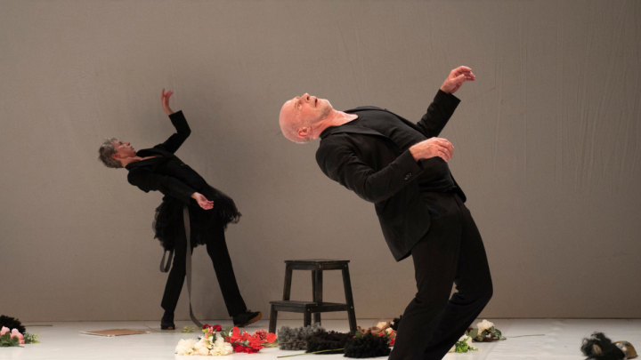 Ma L'amor Mio Non Muore Wooshing Machine