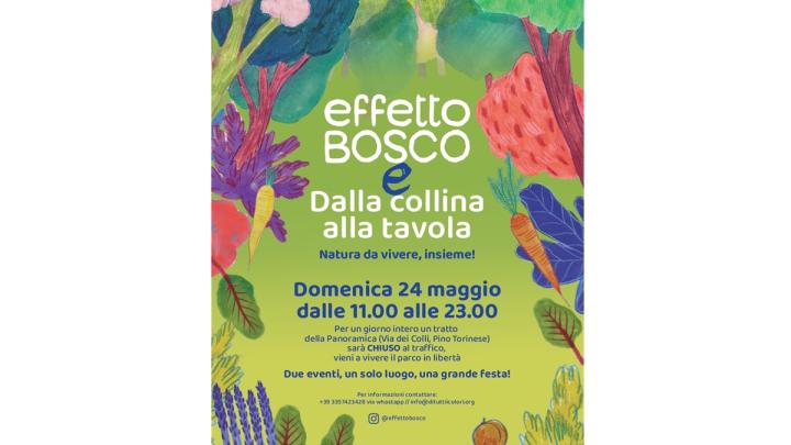 Effetto Bosco