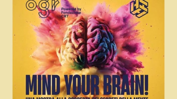 Mond Your Brain!